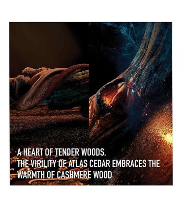 Dior Homme Eau De Toilette Spray 50ml