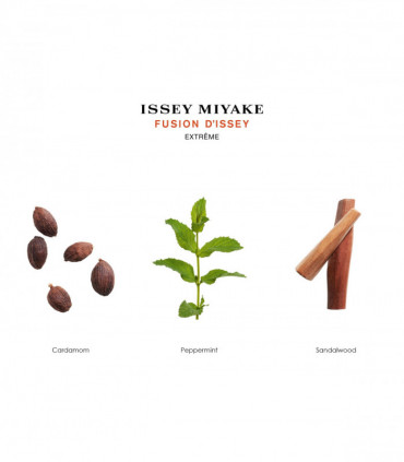 Issey Miyake Fusion D'issey Extreme Eau de Toilette Spray 100ml