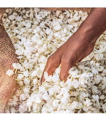 Mugler Alien Eau de Toilette Spray 60ml