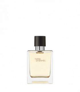 Terre D' Hermes Eau De Toilette Spray 50ml