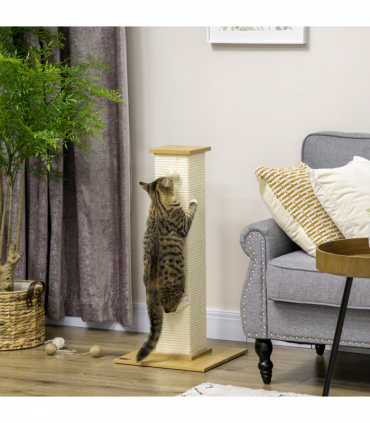 Cat Scratching Post