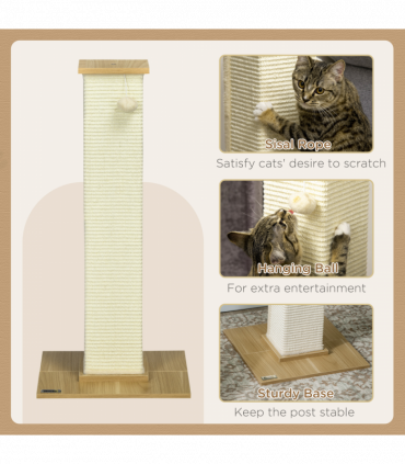 Cat Scratching Post