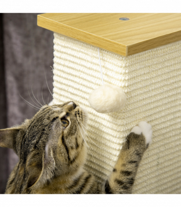 Cat Scratching Post
