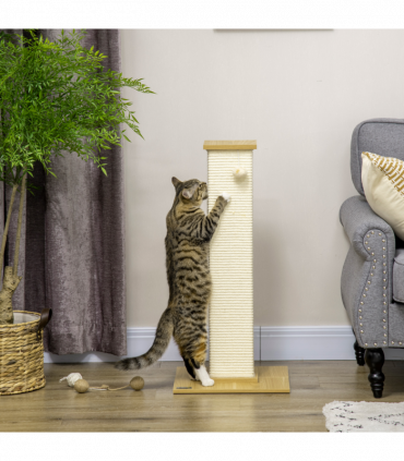 Cat Scratching Post