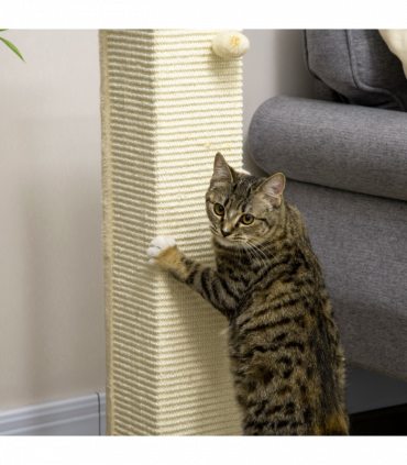 Cat Scratching Post