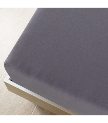 Jersey Fitted Sheets 2 pcs Anthracite 160x200 cm Cotton