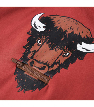 Kids' Hooded Sweatshirt Burnt Red 104