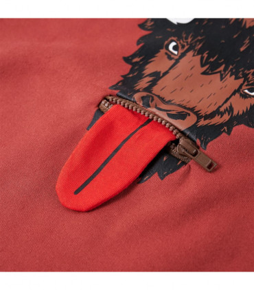 Kids' Hooded Sweatshirt Burnt Red 128