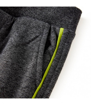 Kids' Sweatpants Grey Melange 104
