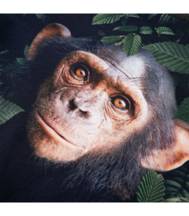 Kids' Sweatshirt Khaki 104