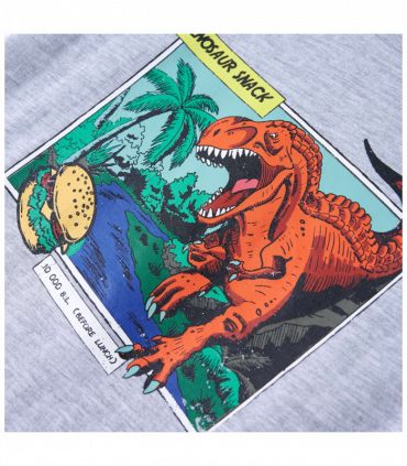 Kids' T-shirt Grey 128