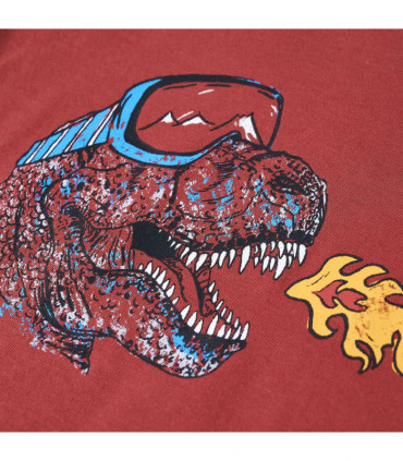 Kids' T-shirt with Long Sleeves Burnt Red 104