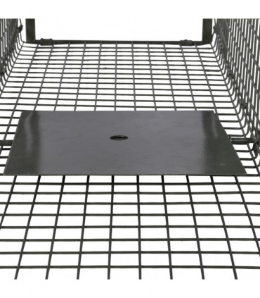 Life Trap with 2 Doors