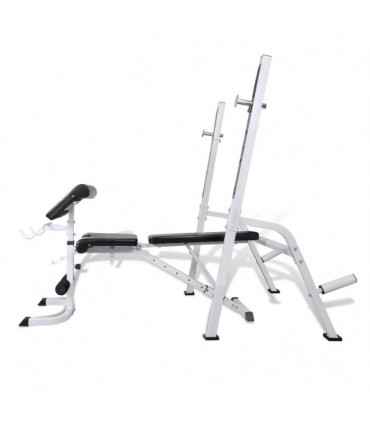 Multi-exercise Workout Bench