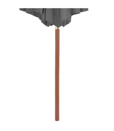 Outdoor Parasol with Wooden Pole 300 cm Anthracite