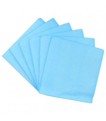 Pet Training Pads 100 pcs 60x60 cm Non Woven Fabric