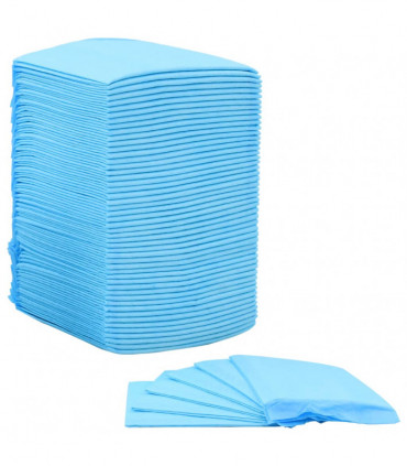 Pet Training Pads 400 pcs 45x33 cm Non Woven Fabric