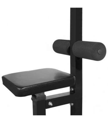 Power Tower with Barbell and Dumbbell Set 60.5 kg
