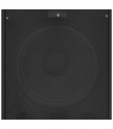Professional Passive Hifi Stage Speaker 1000 W Black 32x32x64cm