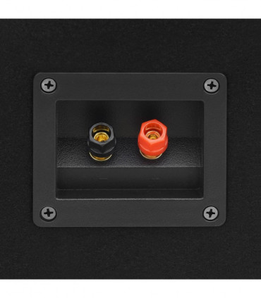 Professional Passive Hifi Stage Speakers 2 pcs 1000 W Black