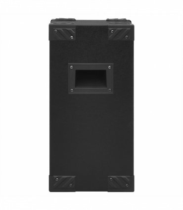 Professional Passive Hifi Stage Speakers 2 pcs 800 W Black