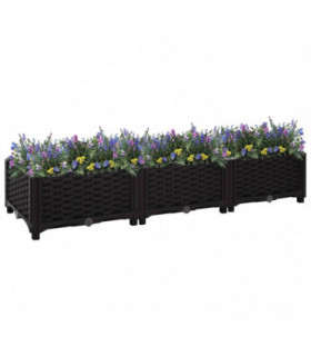 Raised Bed 120x40x23 cm Polypropylene