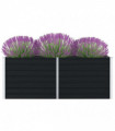 Raised Garden Bed 160x80x45 cm Galvanised Steel Anthracite
