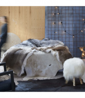 Real Cow Hide Rug Brown and White 150x170 cm