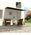 Retractable Awning 300x150 cm Anthracite