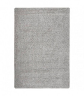 Shaggy Rug Light Grey 120x170 cm Anti Slip
