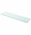 Shelf Panel Glass Clear 100x25 cm