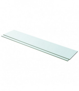 Shelves 2 pcs Panel Glass Clear 100x20 cm