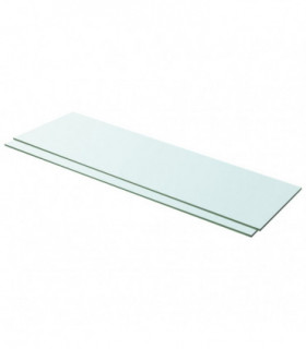 Shelves 2 pcs Panel Glass Clear 100x30 cm