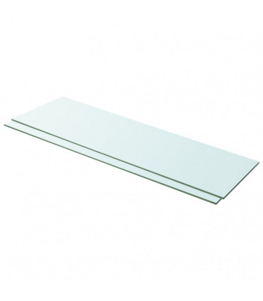 Shelves 2 pcs Panel Glass Clear 100x30 cm