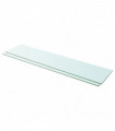 Shelves 2 pcs Panel Glass Clear 110x25 cm