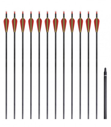 Standard Recurve Bow Arrows 30" 0.76 cm Carbon 12 pcs