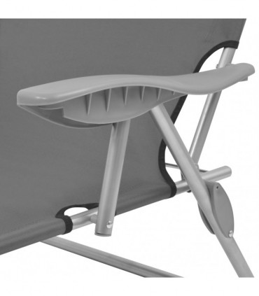 Sun Lounger with Canopy Steel Grey