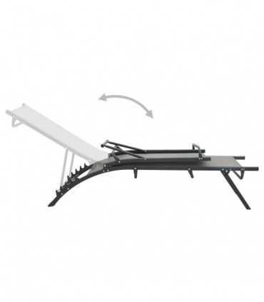 Sun Loungers 2 pcs Textilene and Steel