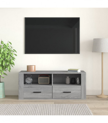 TV Cabinet Grey Sonoma 100x35x40 cm Engineered Wood