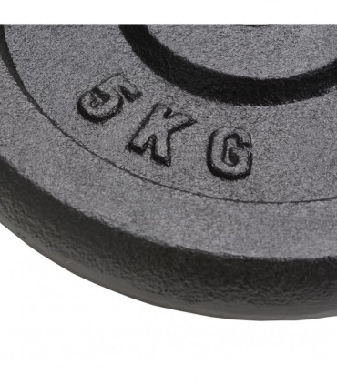 Weight Plates 4 pcs 2x10 kg+2x5 kg Cast Iron