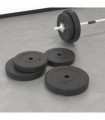 Weight Plates 4 pcs 30 kg Cement