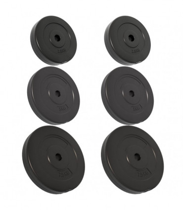 Weight Plates 6 pcs 30 kg Cement