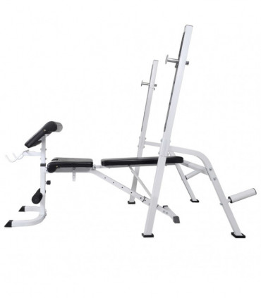 Workout Bench with Weight Rack, Barbell and Dumbbell Set 60.5kg