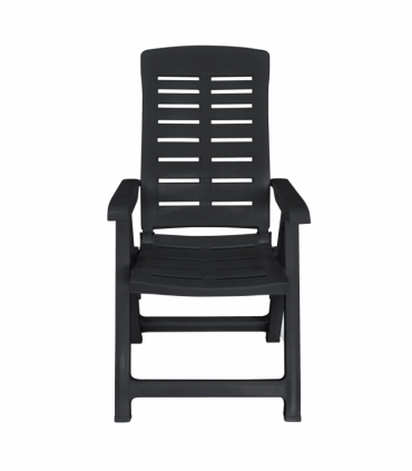 vidaXL 11 Piece Outdoor Dining Set Plastic Anthracite