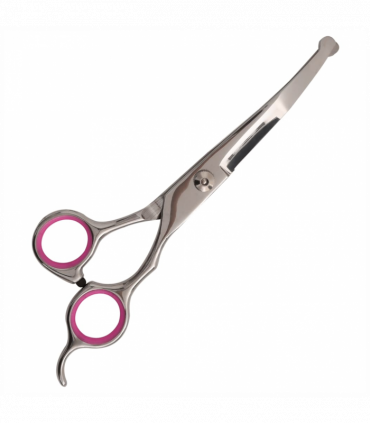 vidaXL 5 Piece Dog Grooming Scissors Set Stainless Steel