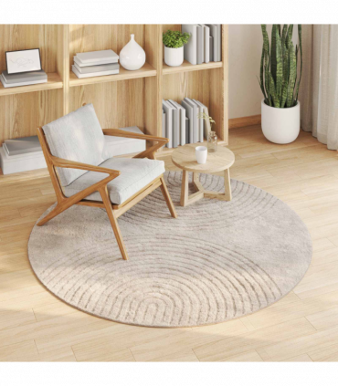 vidaXL Area Rugs Round Beige Ø 120 CM