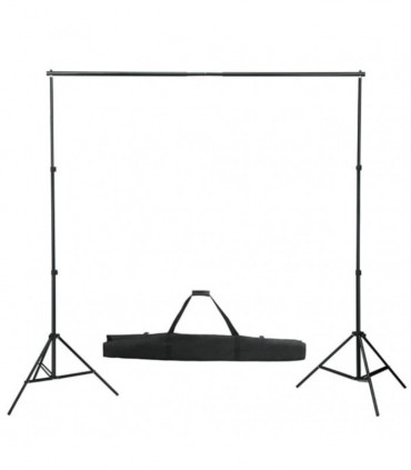 vidaXL Backdrop Support System 600x300 cm White