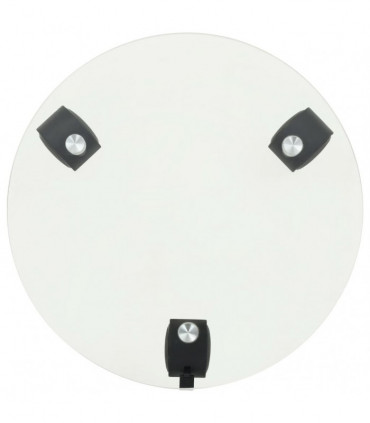 vidaXL Plant Rollers 2 pcs Tempered Glass 28 cm Round