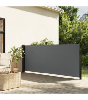 vidaXL Retractable Side Awning Anthracite 120x300 cm