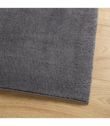 vidaXL Rug HUARTE Short Pile Soft and Washable Anthracite 160x230 cm